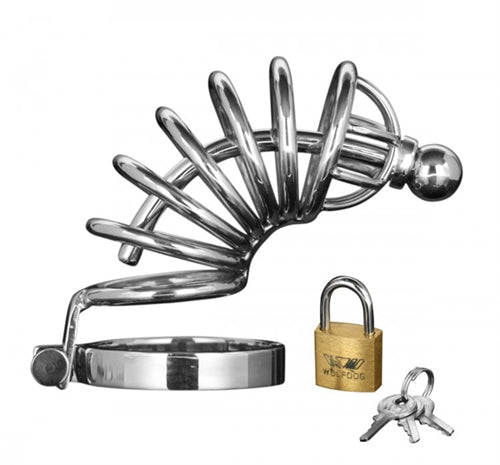 "Asylum 6 Ring Locking Chastity Cage - Medium/large MS-AD147ML"