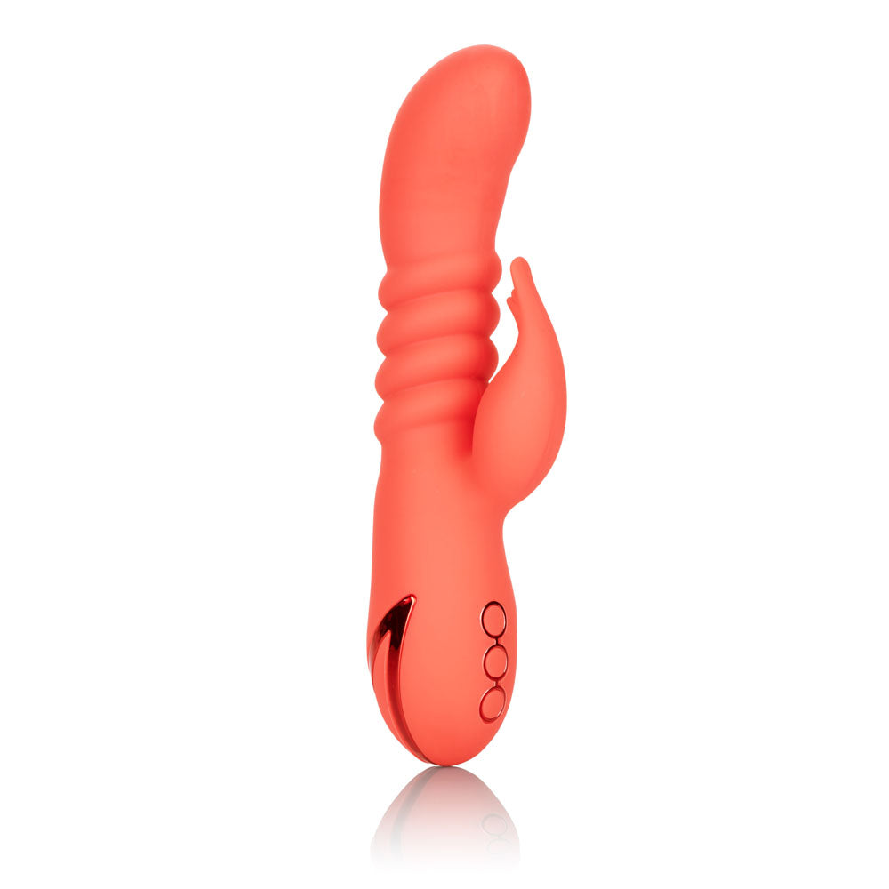 "California Dreaming Orange County Cutie SE4350353"