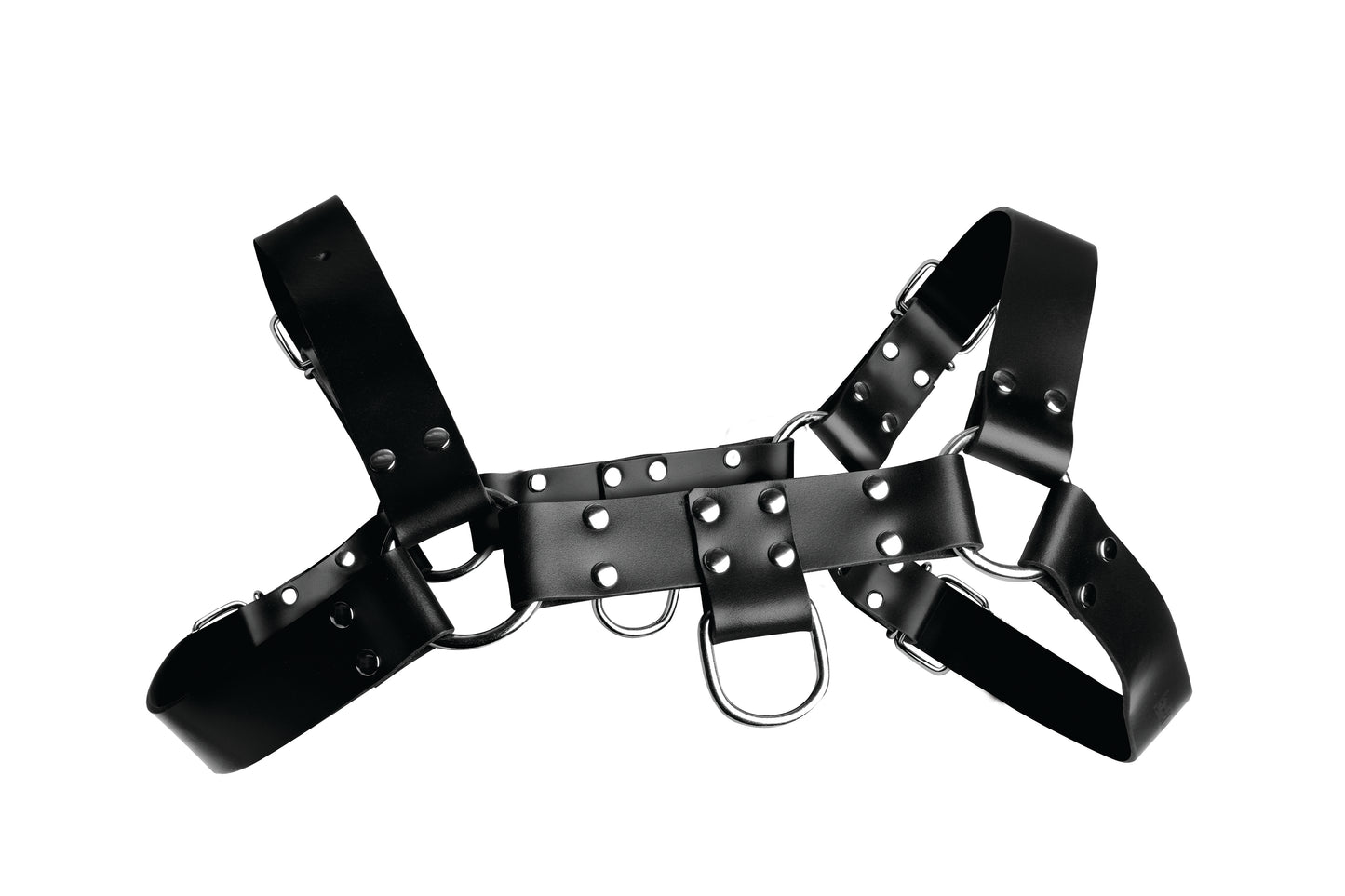 "English Bull Dog Harness STR-AD681"
