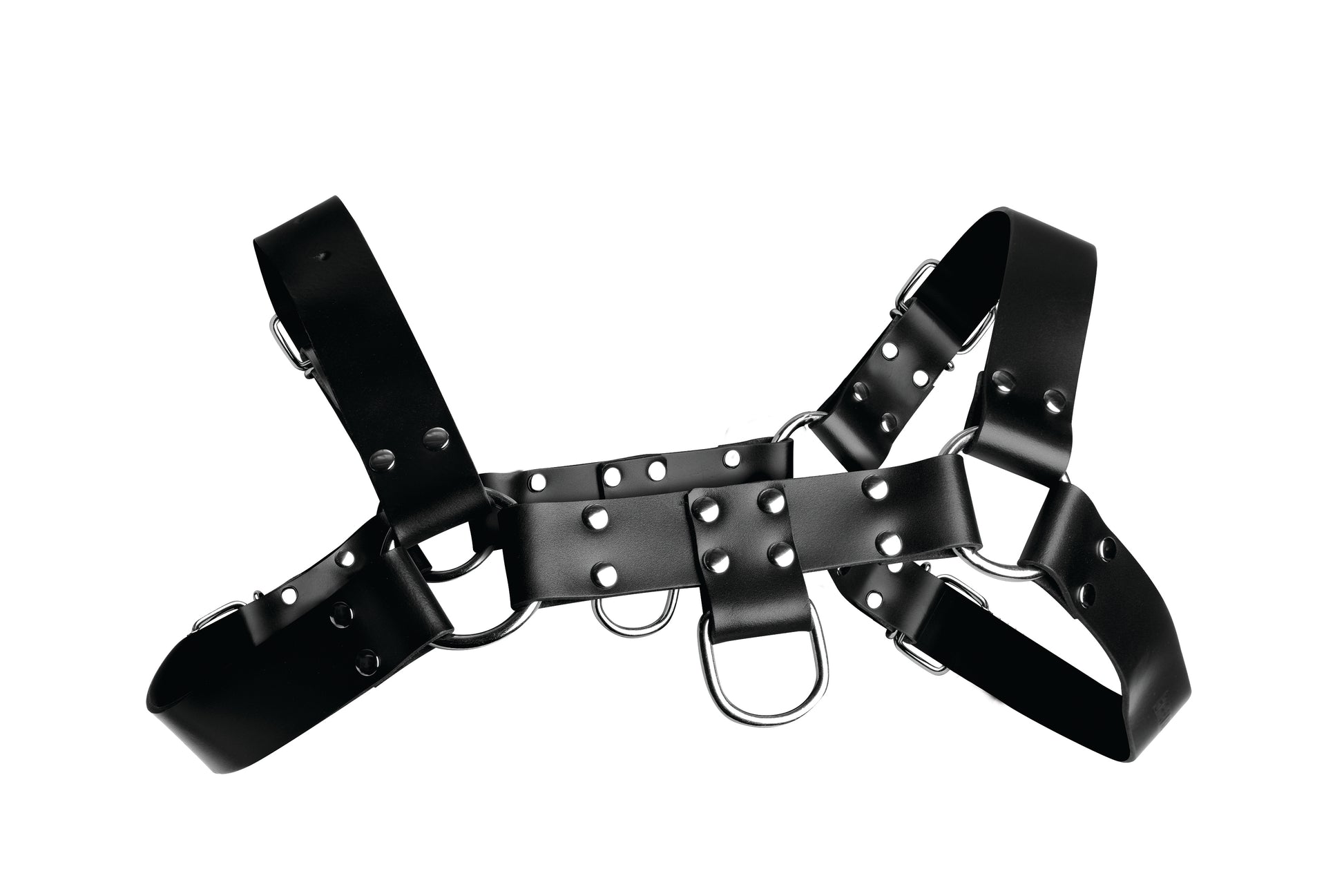 "English Bull Dog Harness STR-AD681"